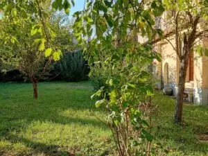 Photo 26 du bien Maison – 187 m² – 10 pièces – Entrains-sur-Nohain 58410