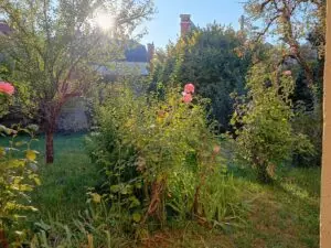 Photo 2 du bien Maison – 187 m² – 10 pièces – Entrains-sur-Nohain 58410